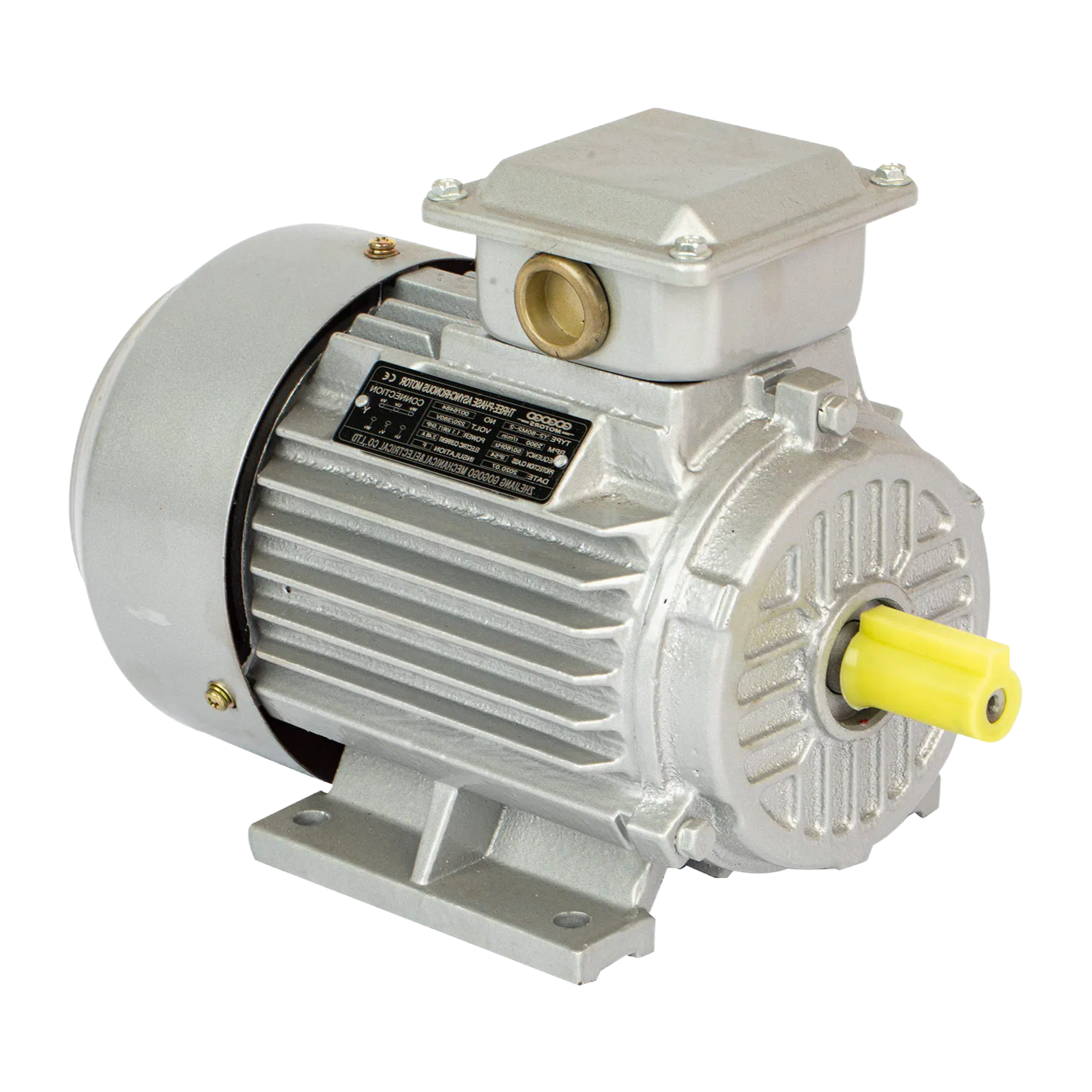 OEM ODM Electric Motor Manufacturing Service for Various Power Ranges and Mounting Types