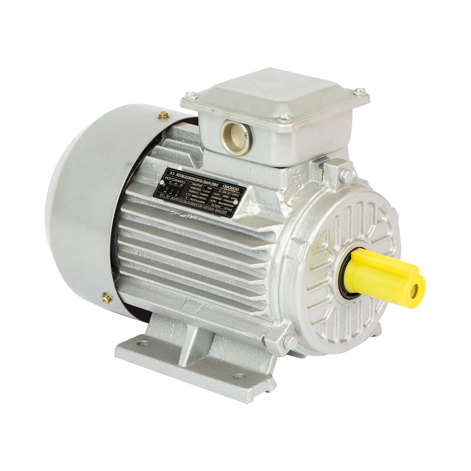 OEM ODM Electric Motor Manufacturing Service for Various Power Ranges and Mounting Types