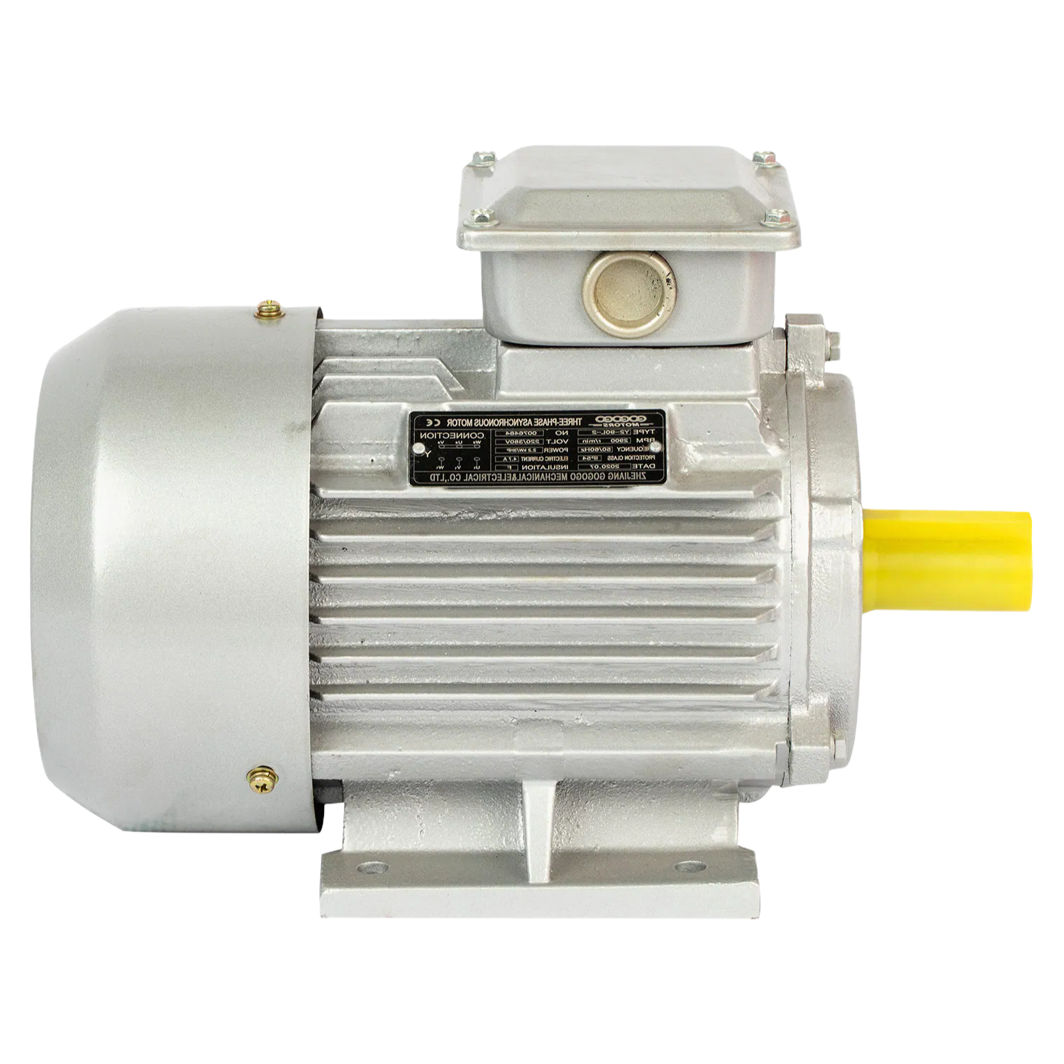 OEM ODM Electric Motor Manufacturing Service for Various Power Ranges and Mounting Types