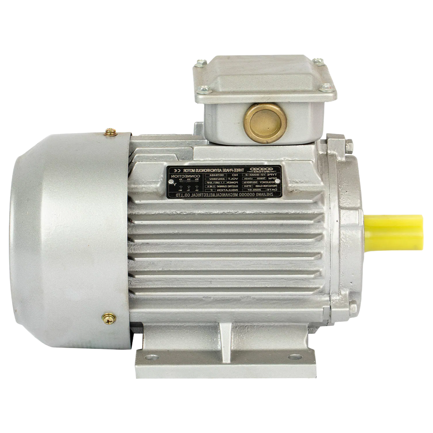 OEM ODM Electric Motor Manufacturing Service for Various Power Ranges and Mounting Types