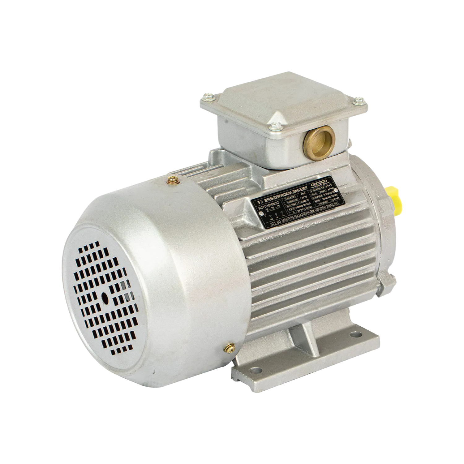 OEM ODM Electric Motor Manufacturing Service for Various Power Ranges and Mounting Types