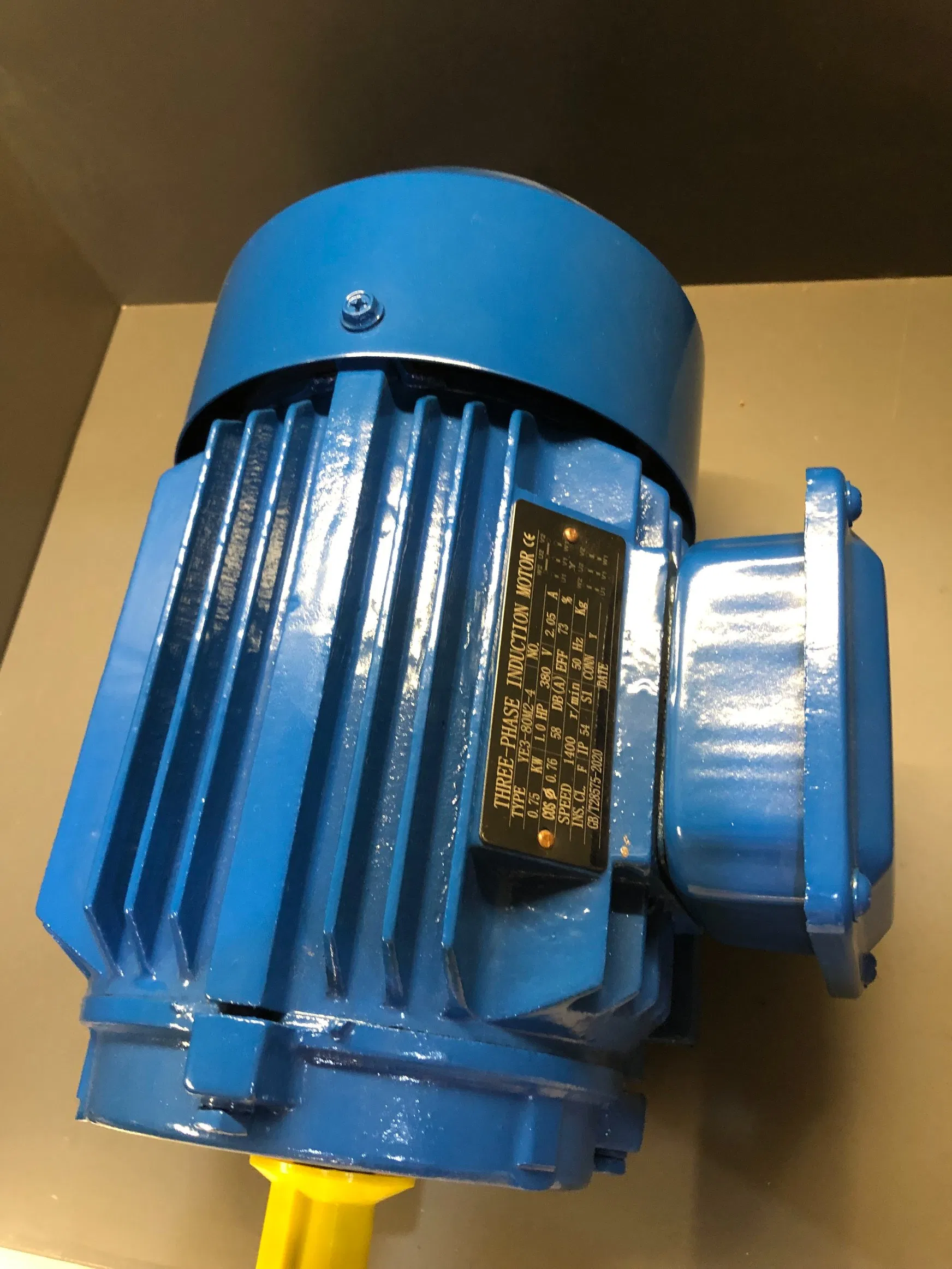 Custom OEM Three Phase Asynchronous Motor for Crusher and Heavy Equipment