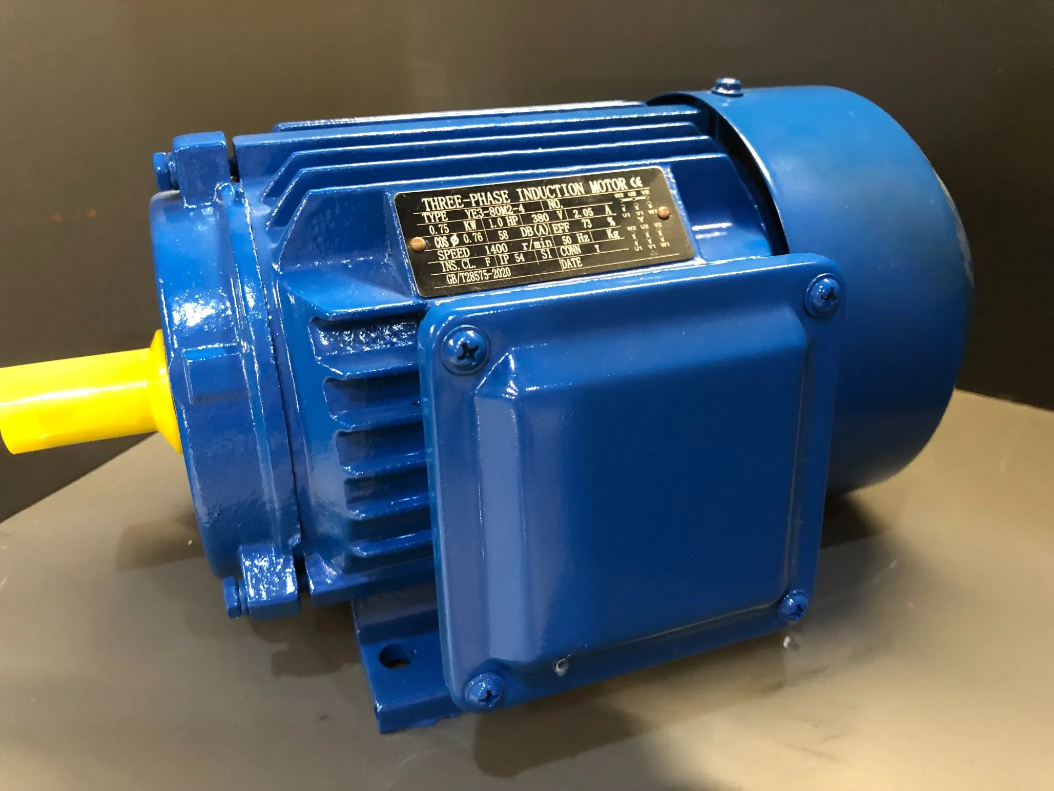 Custom OEM Three Phase Asynchronous Motor for Crusher and Heavy Equipment