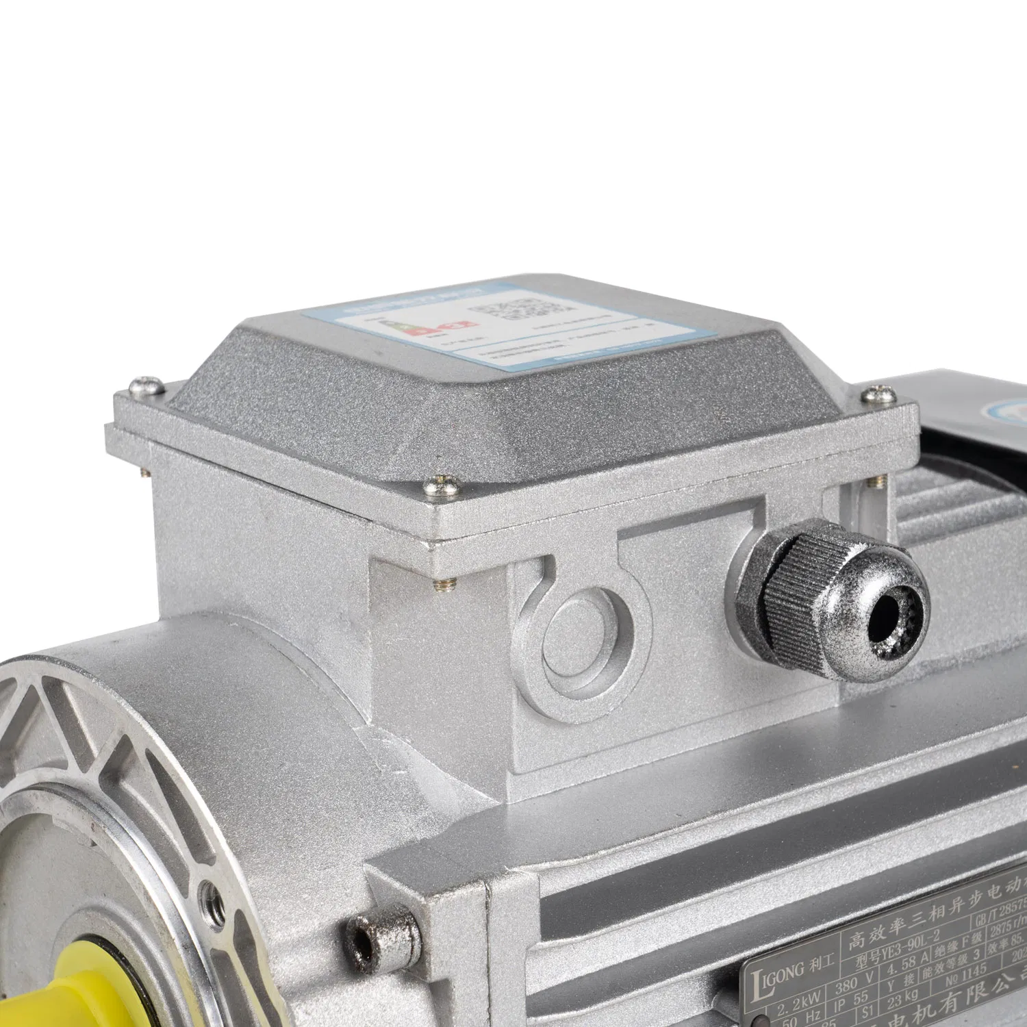 Customizable IE5 Three-Phase Aluminum Motor with High Energy Efficiency