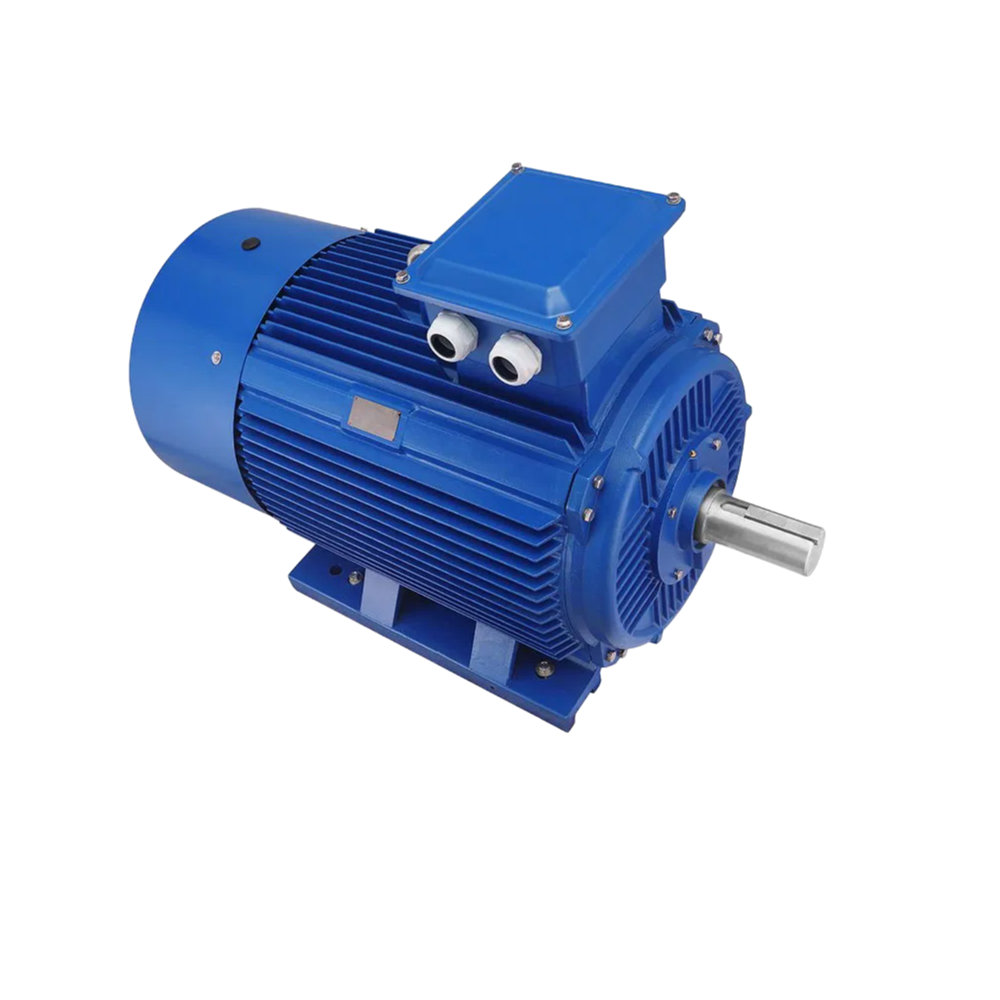 OEM/ODM Three-Phase Induction Motor with Direct Online Starting 50/60Hz