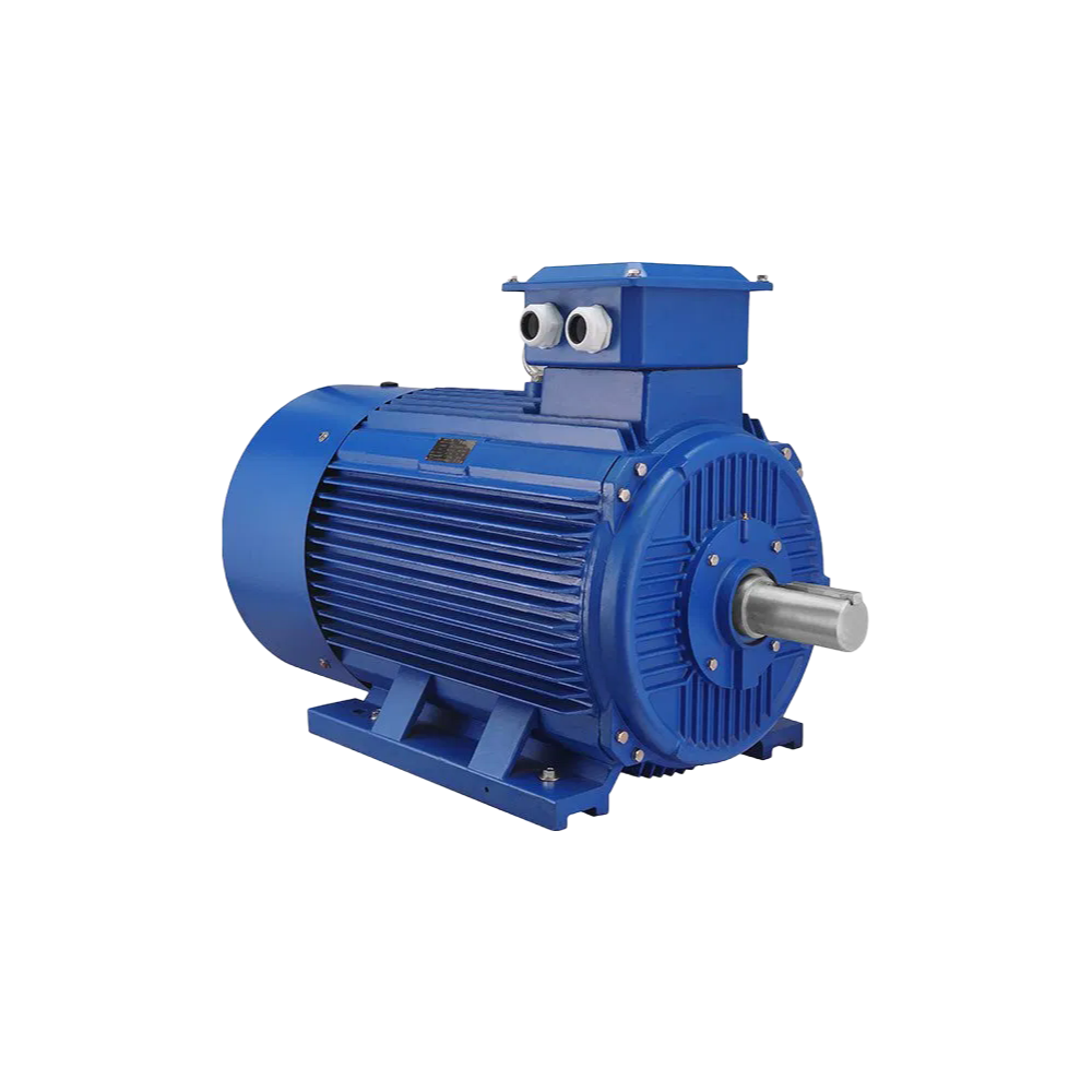 OEM/ODM Three-Phase Induction Motor with Direct Online Starting 50/60Hz