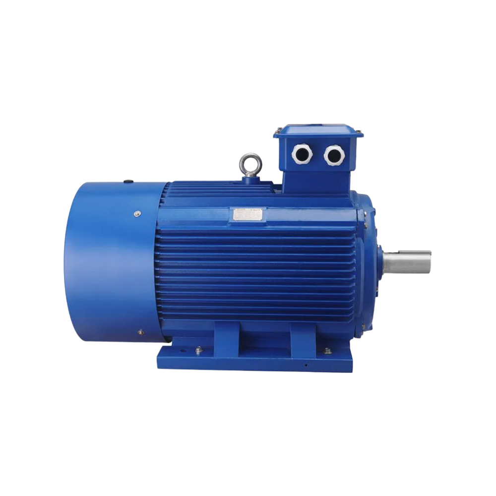 OEM/ODM Three-Phase Induction Motor with Direct Online Starting 50/60Hz