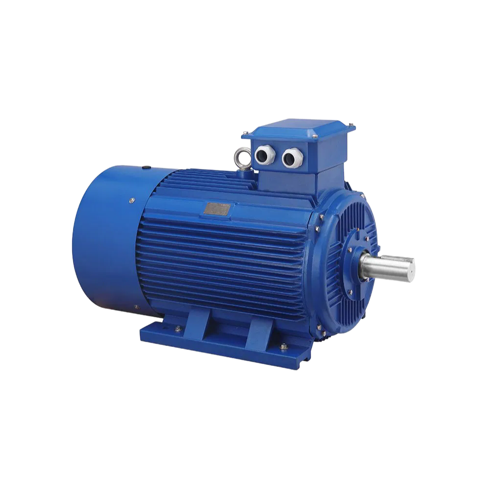 OEM/ODM Three-Phase Induction Motor with Direct Online Starting 50/60Hz