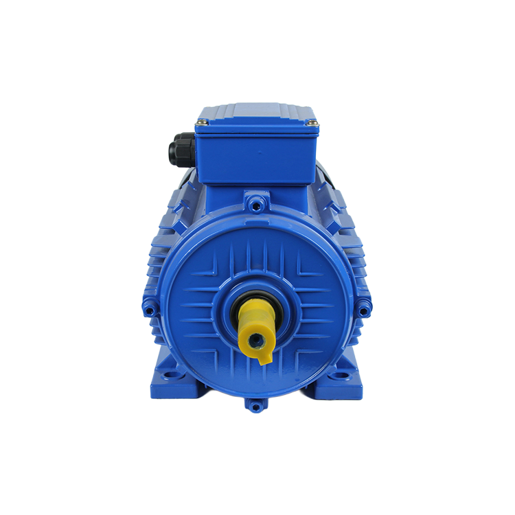 Customizable Three-Phase AC Induction Motor with Squirrel Cage Design and Copper Windings