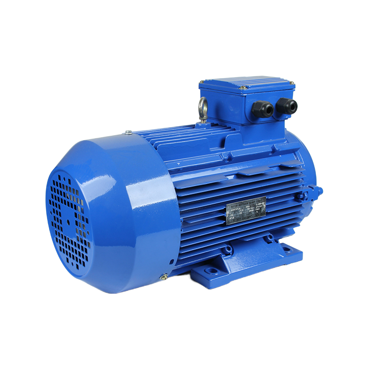 Customizable Three-Phase AC Induction Motor with Squirrel Cage Design and Copper Windings