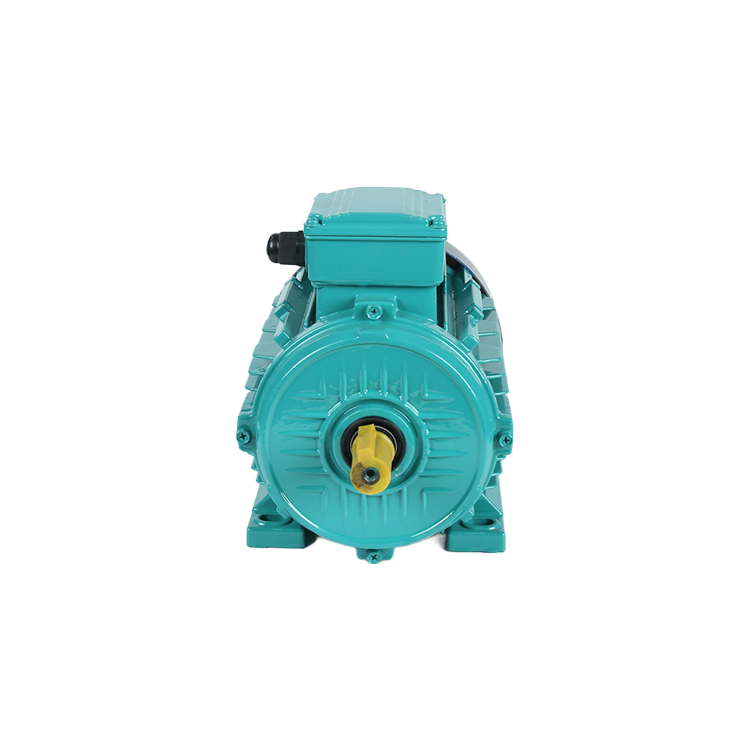 Customizable Three-Phase AC Induction Motor with Squirrel Cage Design and Copper Windings