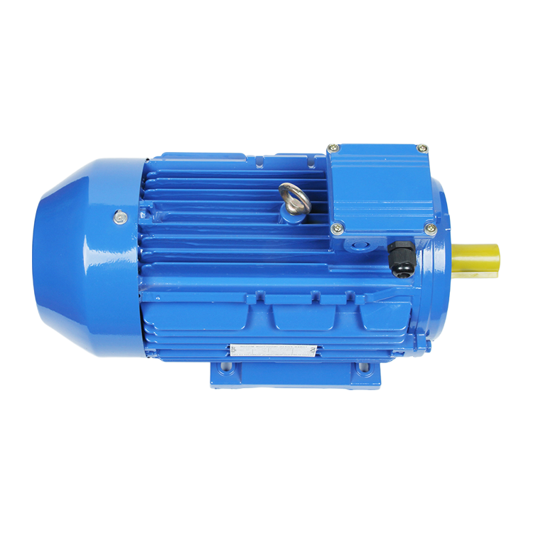 Customizable Three-Phase AC Induction Motor with Squirrel Cage Design and Copper Windings