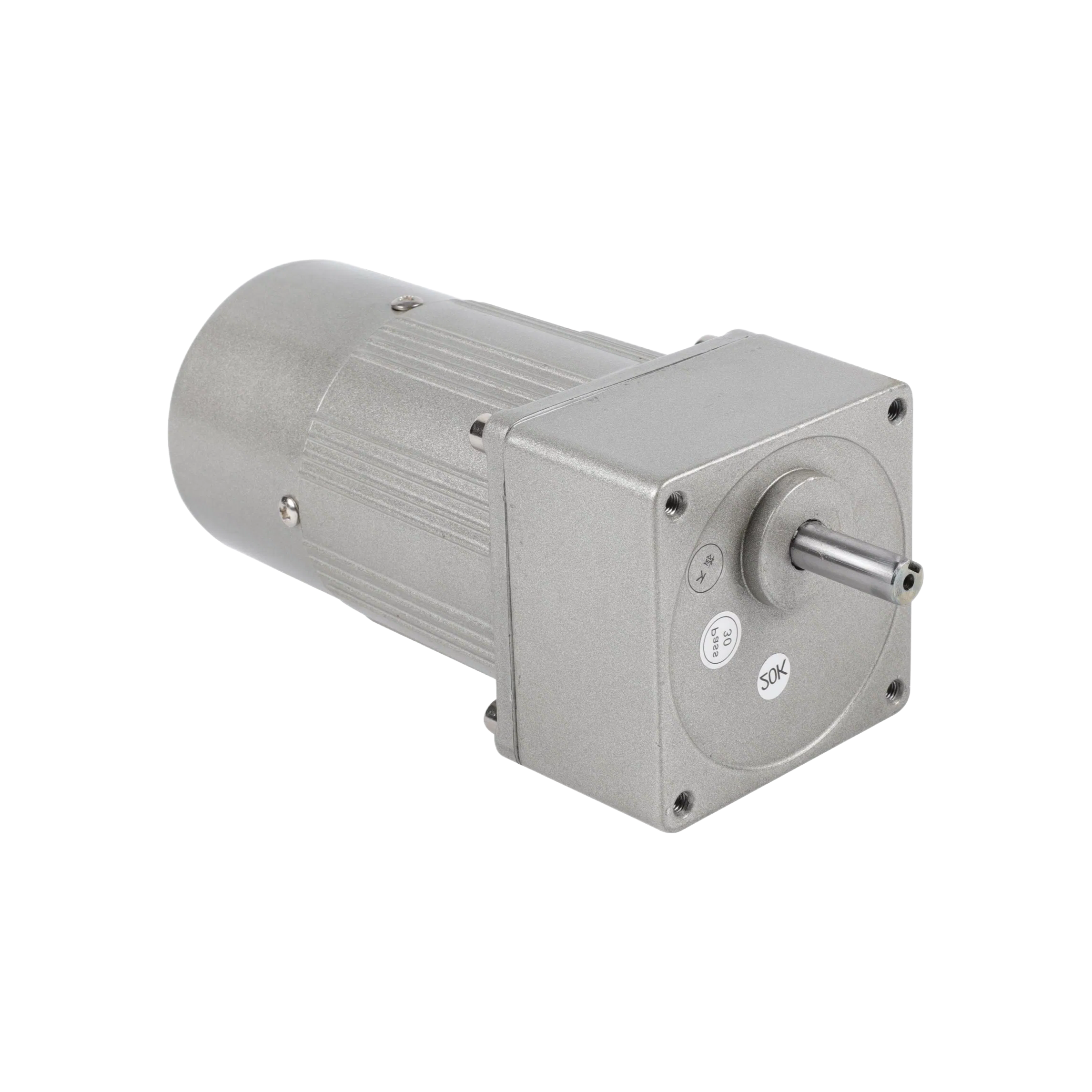 High Torque Micro AC Gear Motor with Gearbox Reducer for Industrial Applications