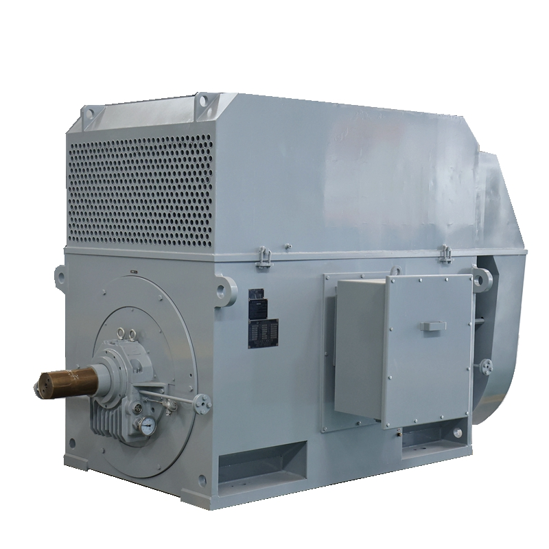 Premium Quality High Voltage Motor with F-Class Insulation and SKF Bearings