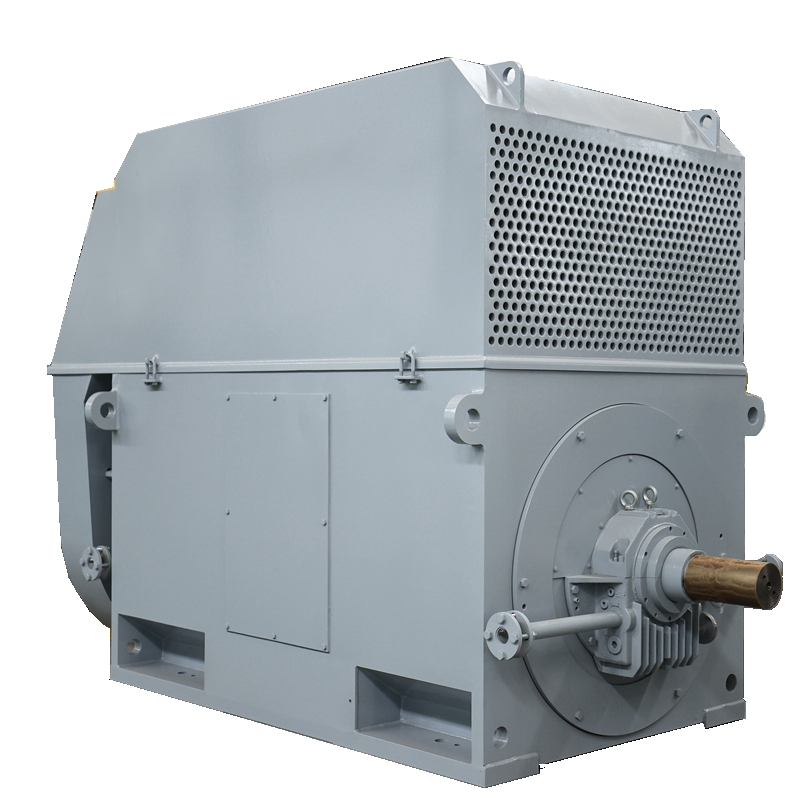Premium Quality High Voltage Motor with F-Class Insulation and SKF Bearings