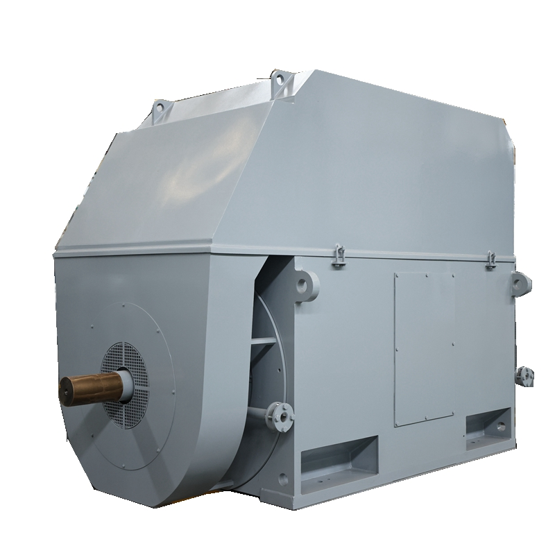 Premium Quality High Voltage Motor with F-Class Insulation and SKF Bearings