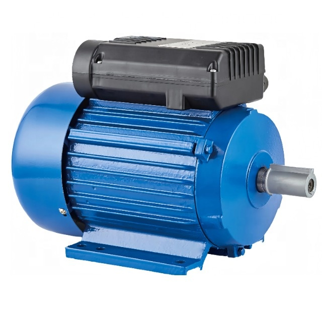 YL Series Single Phase Dual-Capacitor Induction Motor 0.25-5HP for Industrial Machines