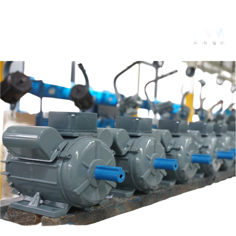 Premium Quality Small AC Single Phase Motor for Compressors and Machine Tools