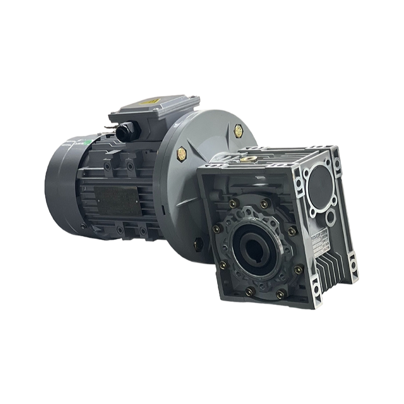 Customizable Three-Phase Asynchronous Motor 3000/1500/1000/750rpm with ISO9001 Certification