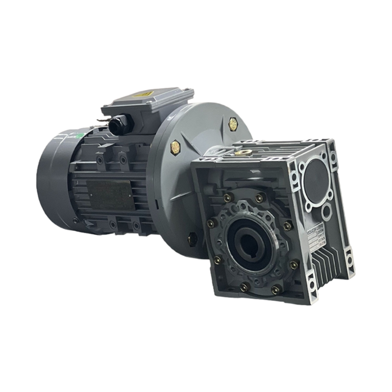 Customizable Three-Phase Asynchronous Motor 3000/1500/1000/750rpm with ISO9001 Certification