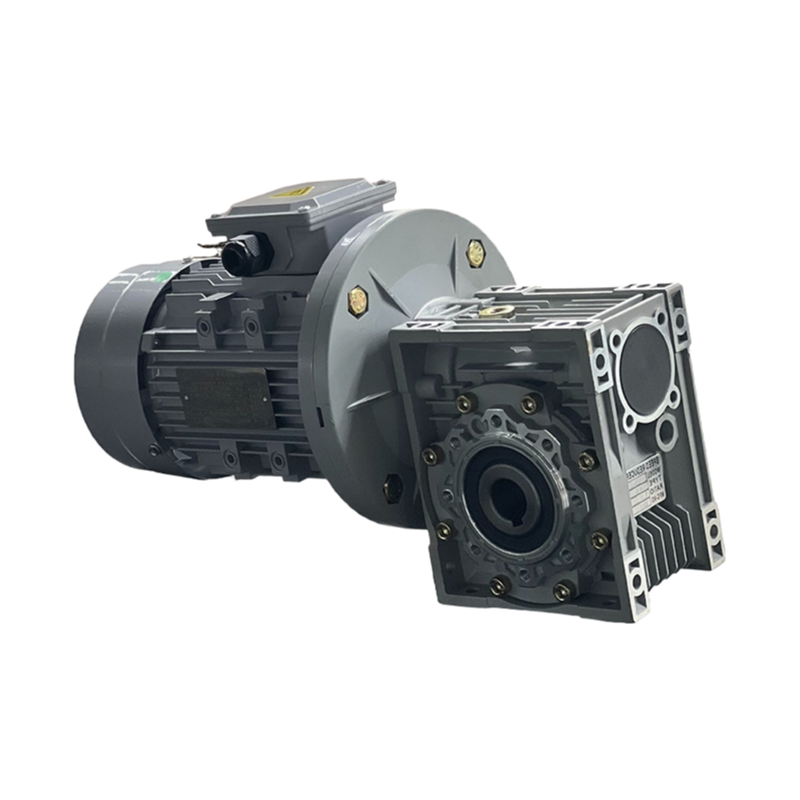 Customizable Three-Phase Asynchronous Motor 3000/1500/1000/750rpm with ISO9001 Certification