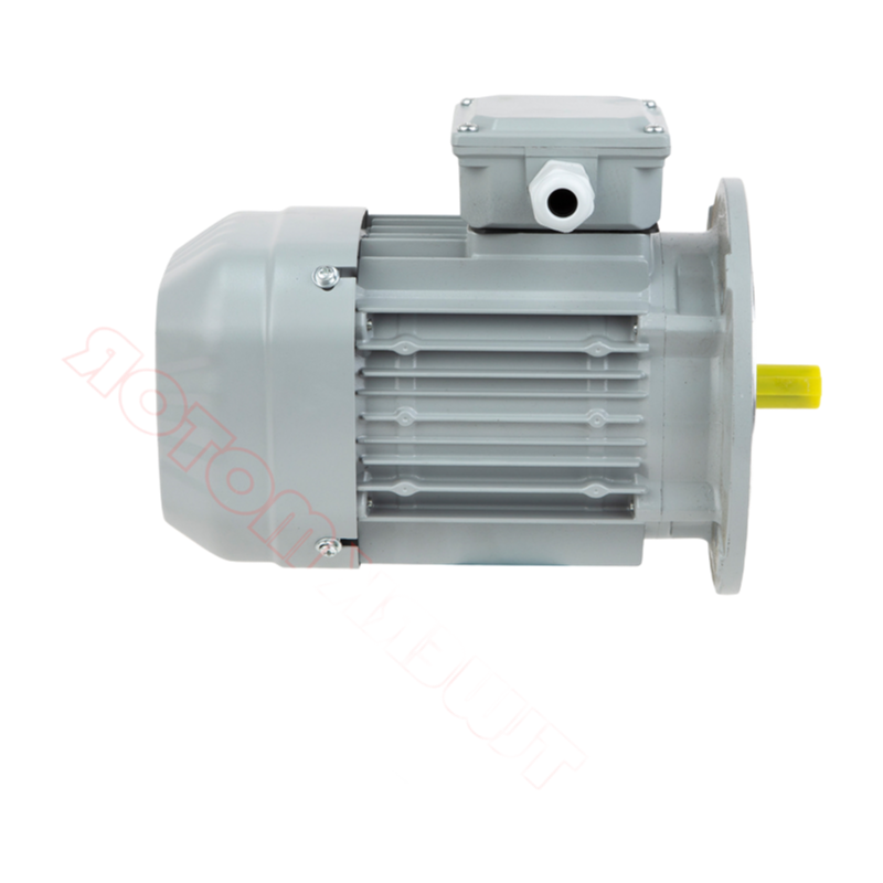 YE3-90L-4 1.5KW 2HP IEC Standard Three-Phase Motor with IP54/IP55 Protection