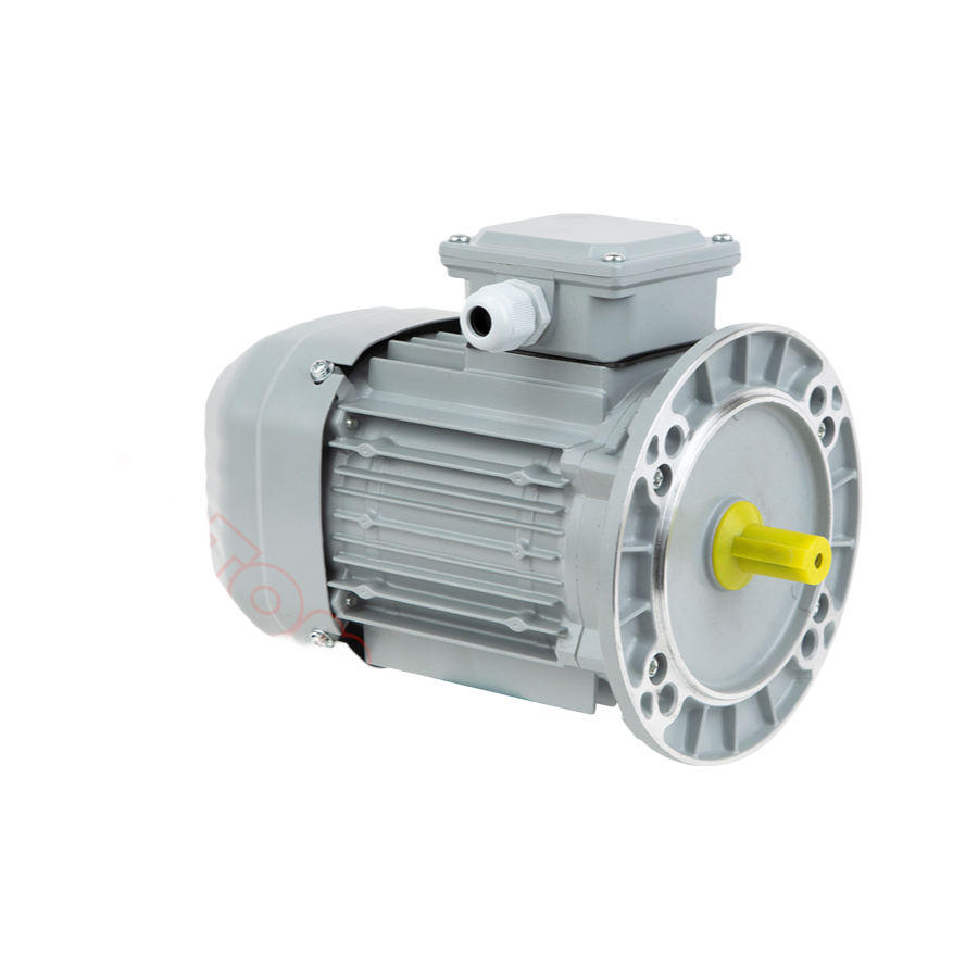YE3-90L-4 1.5KW 2HP IEC Standard Three-Phase Motor with IP54/IP55 Protection