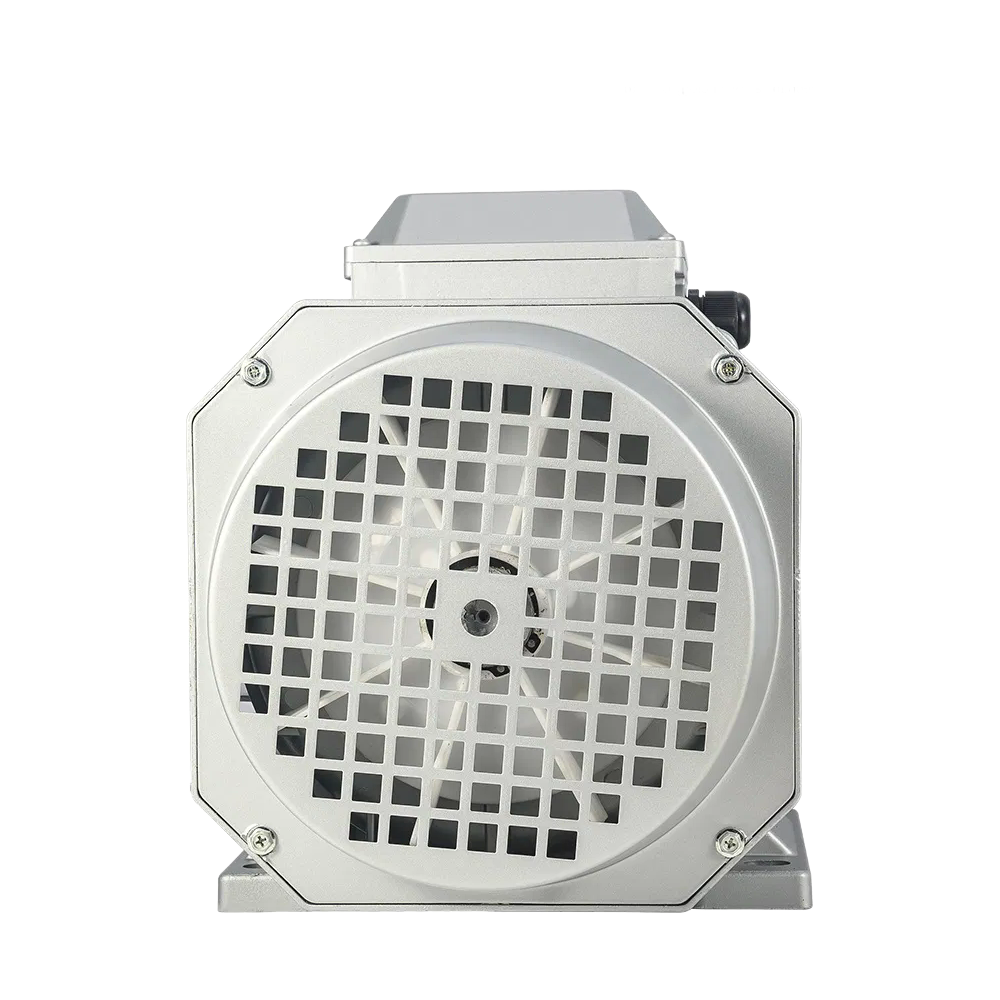 ISO9001 Certified Y2 Series Industrial Electric Motor with Squirrel Cage Design