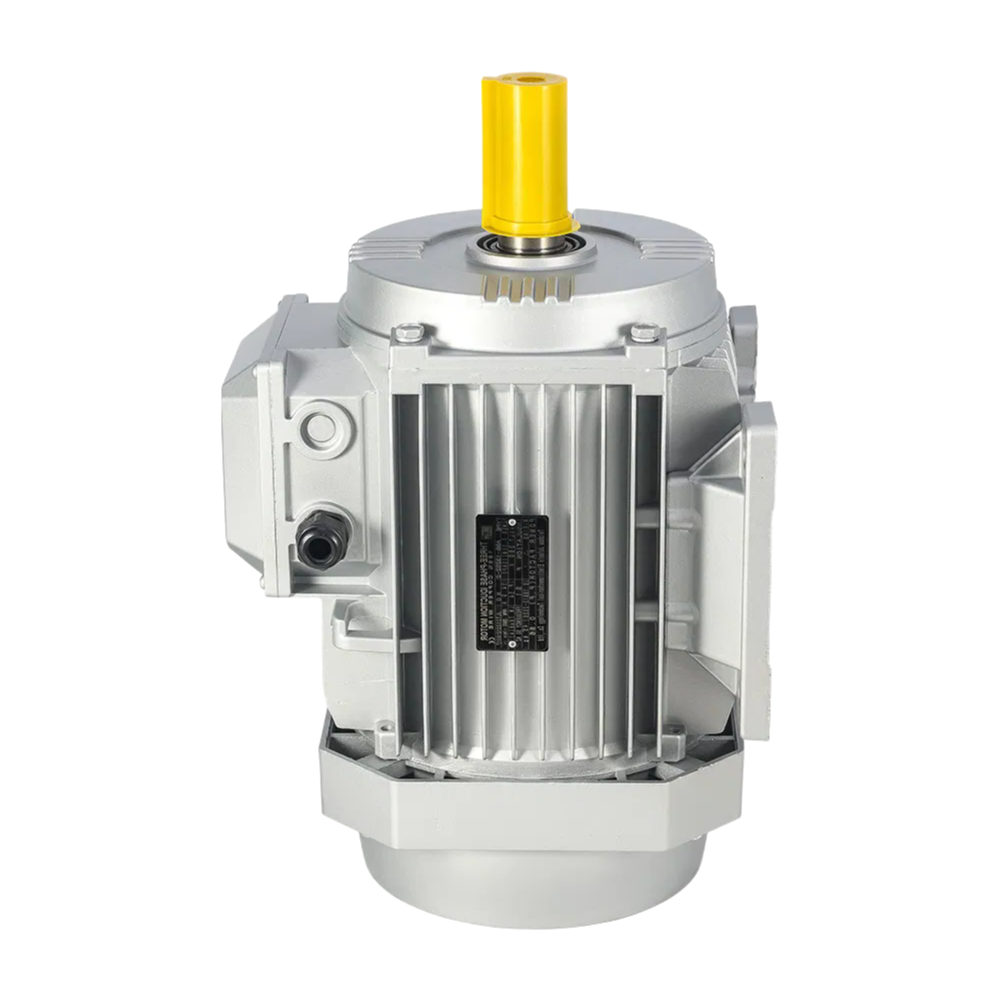 ISO9001 Certified Y2 Series Industrial Electric Motor with Squirrel Cage Design