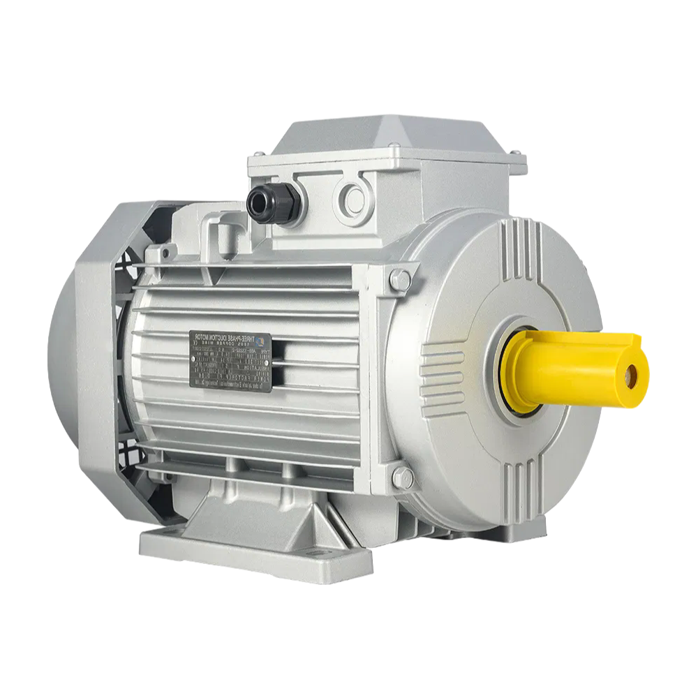 ISO9001 Certified Y2 Series Industrial Electric Motor with Squirrel Cage Design