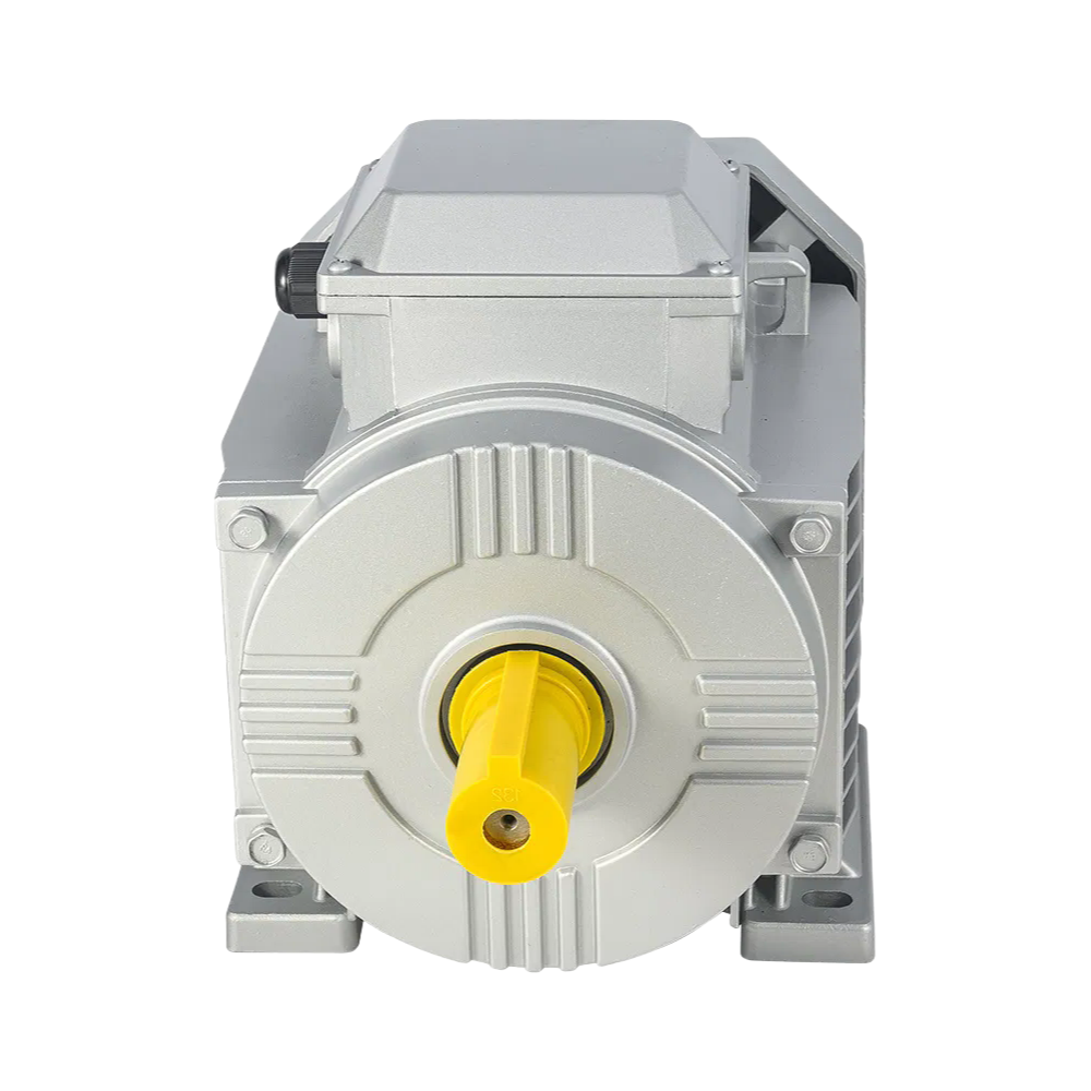 ISO9001 Certified Y2 Series Industrial Electric Motor with Squirrel Cage Design