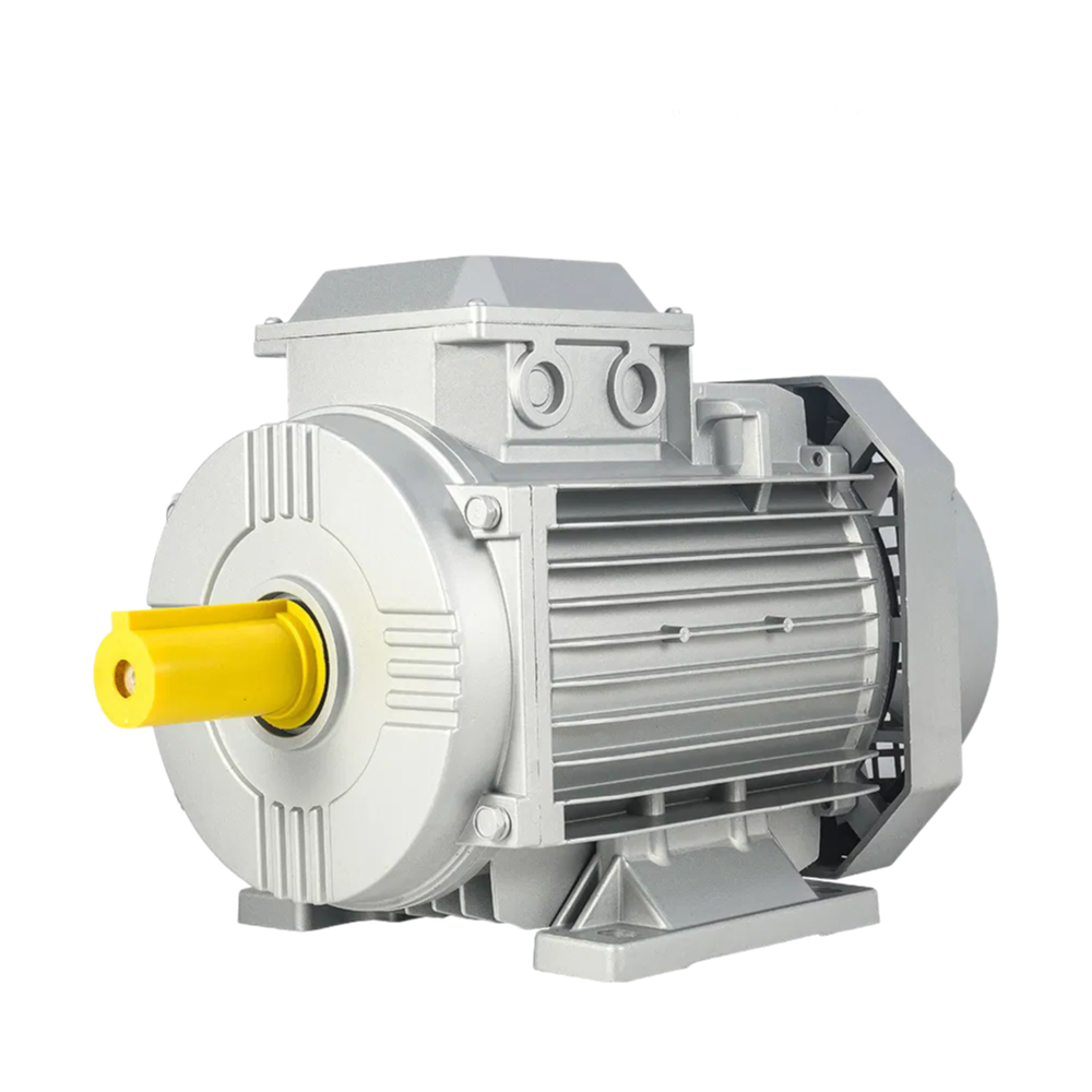 ISO9001 Certified Y2 Series Industrial Electric Motor with Squirrel Cage Design