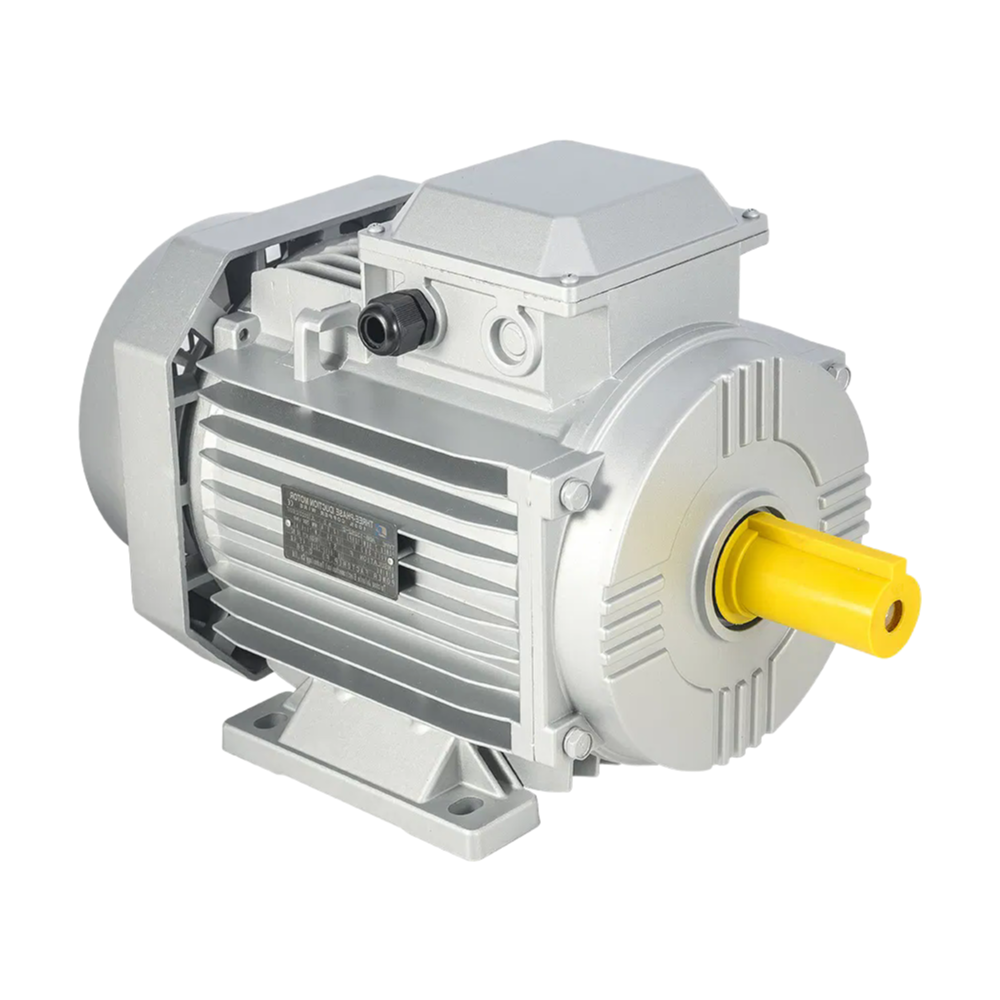 ISO9001 Certified Y2 Series Industrial Electric Motor with Squirrel Cage Design