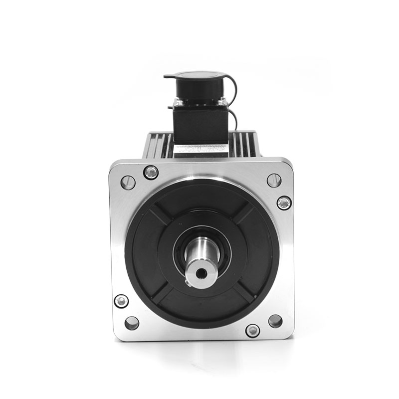 ISO9001 CE Certified 380V Three-Phase Servo Motor with Variable Frequency Starting