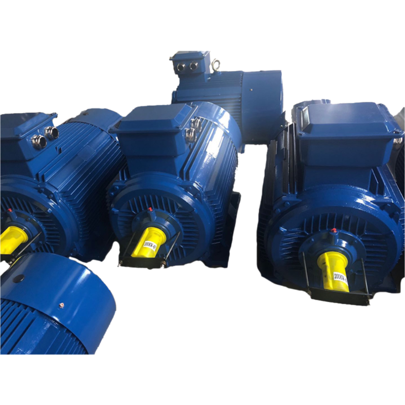 YE2 Series 0.35-300KW 2-8 Pole High Efficiency Three Phase AC Induction Motor with Cast Iron Housing