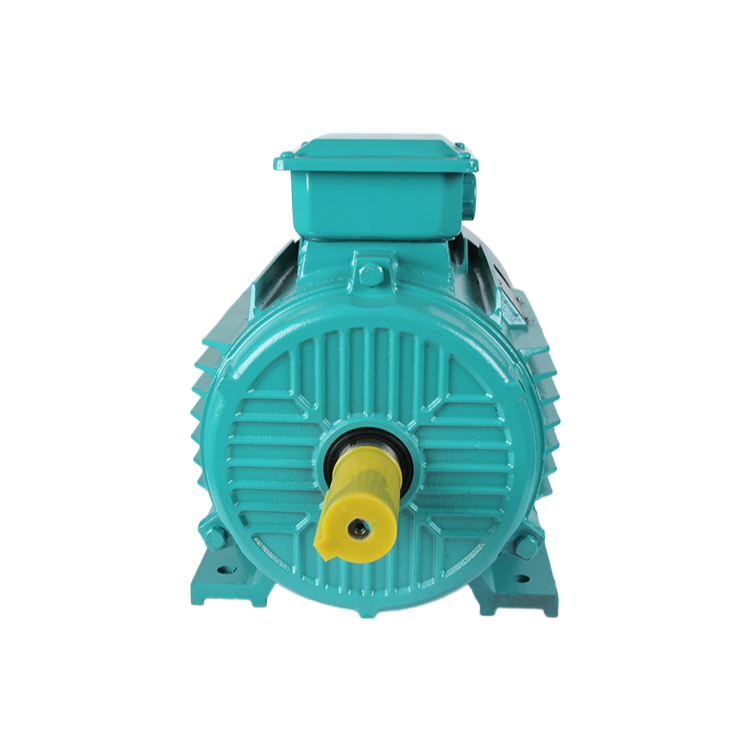 YE2 Series 0.35-300KW 2-8 Pole High Efficiency Three Phase AC Induction Motor with Cast Iron Housing
