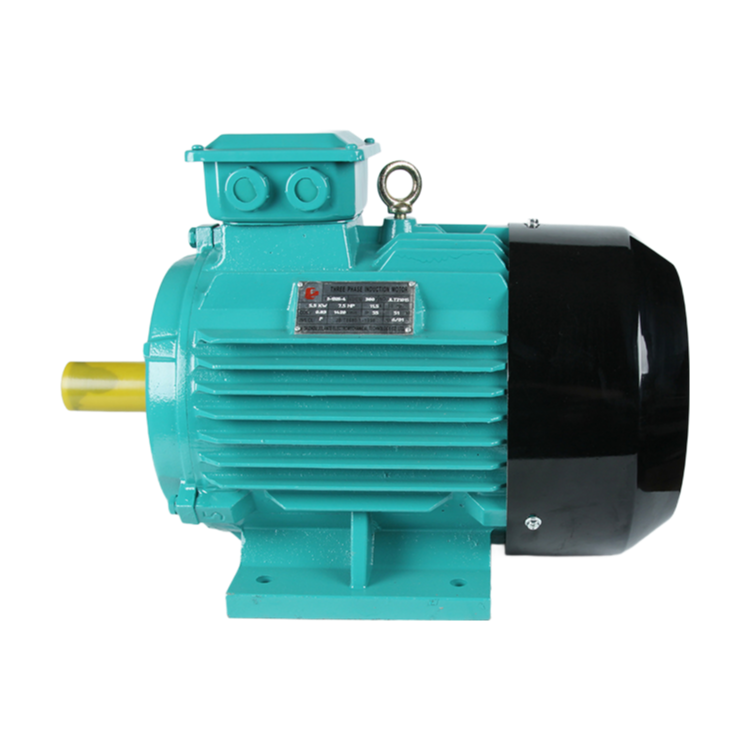 YE2 Series 0.35-300KW 2-8 Pole High Efficiency Three Phase AC Induction Motor with Cast Iron Housing