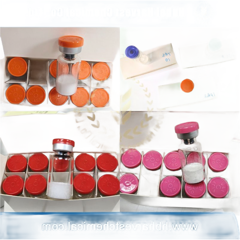 High Purity NAD+ Vials 100mg 500mg 1000mg for Anti-Aging Research Kits