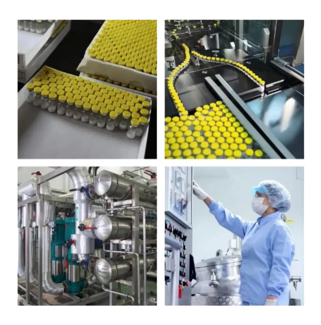 Wholesale CA Peptides Manufacturer - Pure SemaxSelank Peptide Powder
