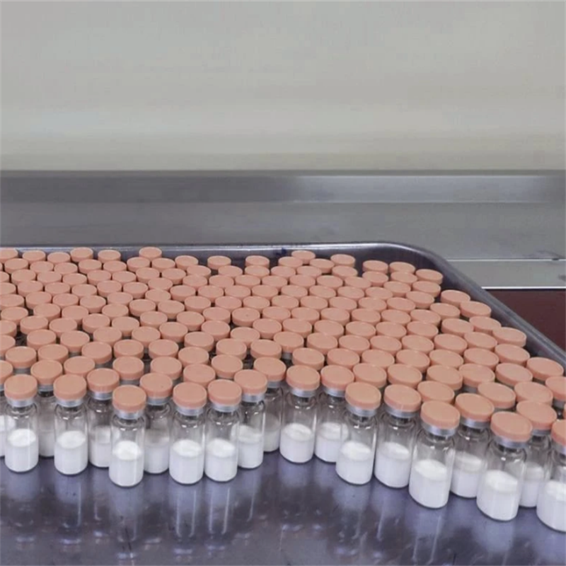 Oral Semaglutide Bulk Supply 99% Purity CAS 2023788-19-2 Factory Price