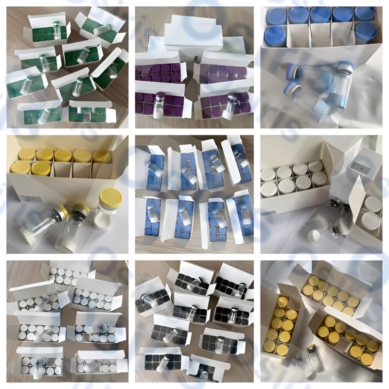 Wholesale Semaglutide Online - 99% Pure Peptide CAS 910463-68-2 Supplier