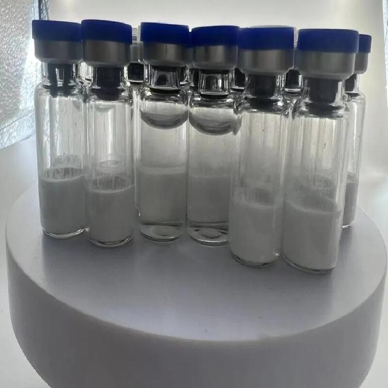 Bulk Xcel Semaglutide Supplier | 99% Purity CAS 910463-68-2 Research Peptide