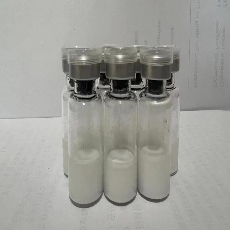 Bulk Xcel Semaglutide Supplier | 99% Purity CAS 910463-68-2 Research Peptide