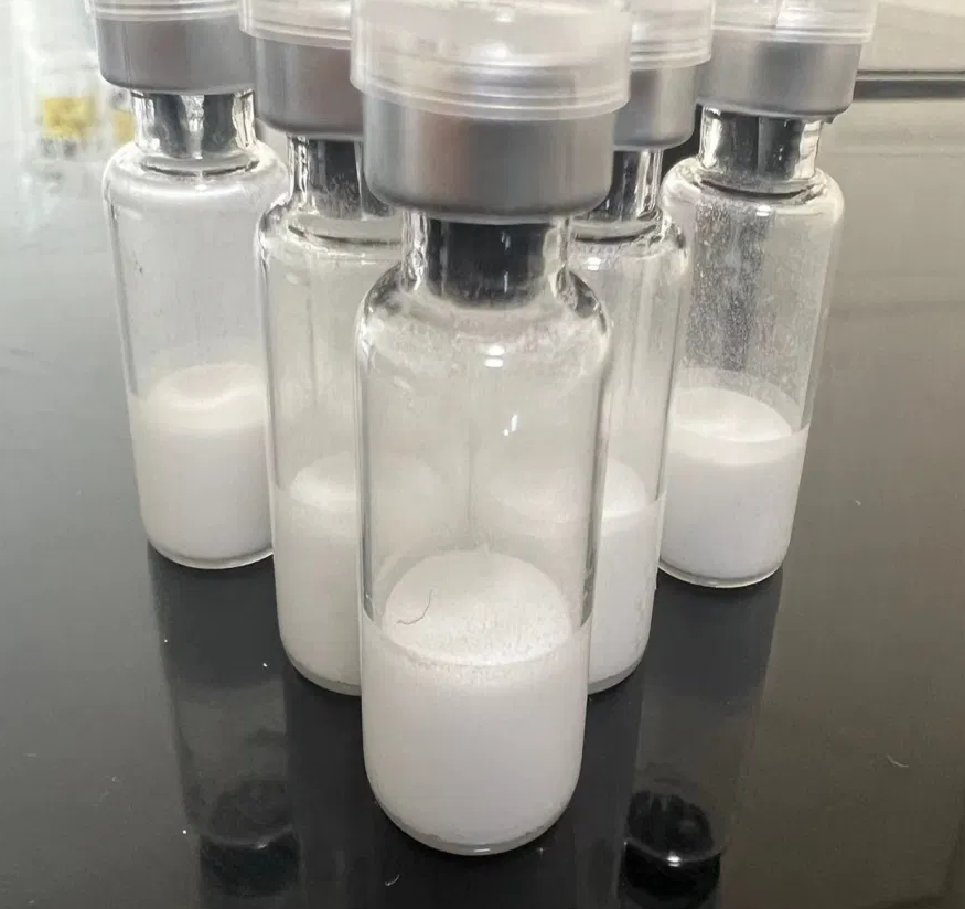 GMP Standard Semaglutide to Buy - Laboratory Grade Weight Management Peptide
