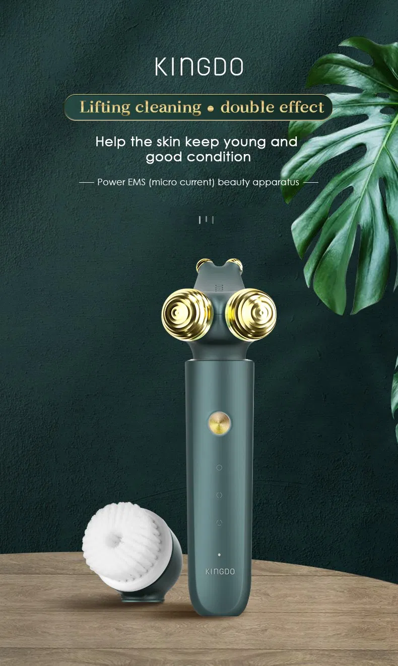 2024 Premium EMS Microcurrent Facial Lifting Device for Anti-Aging & Skin Tightening