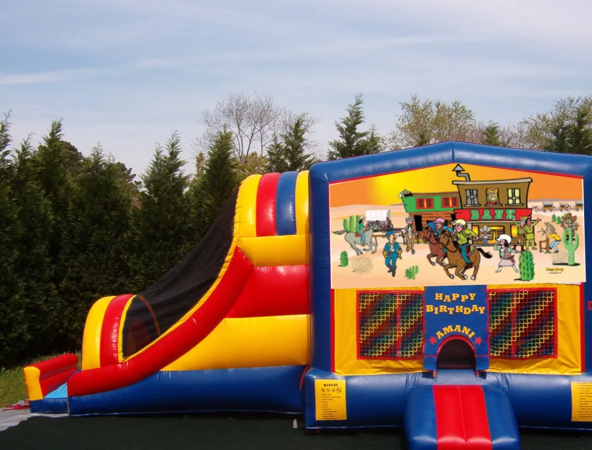 OEM Frozen Inflatable Jumping Castle - 0.55mm Thick Tarpaulin Material with Free Blower