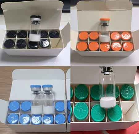 Peptide Gurus Retatrutide - High Purity Weight Loss Peptide for Research