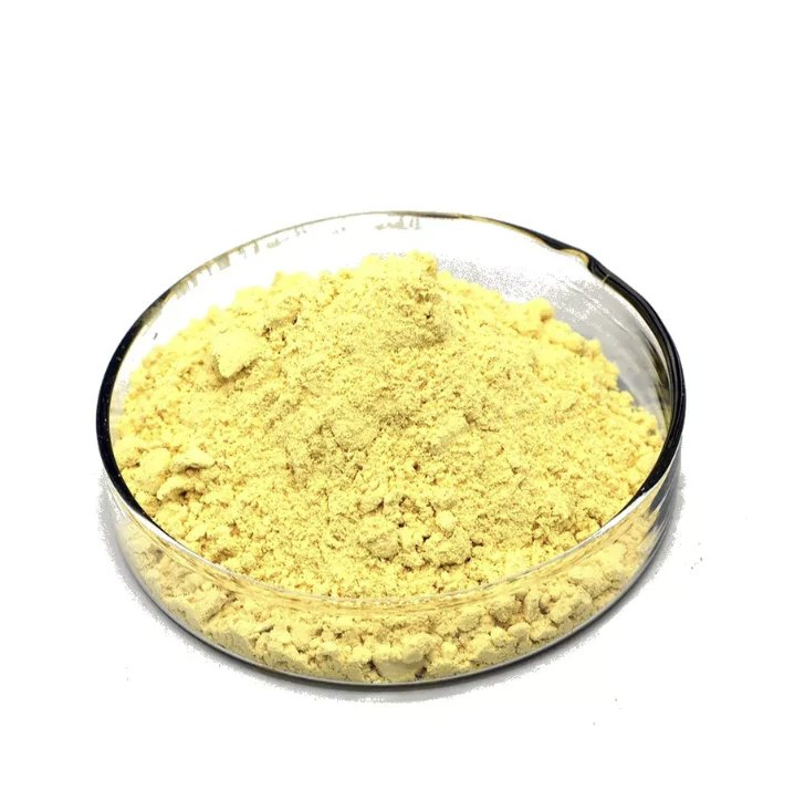 Premium Organic Fisetin Extract Powder 10%-98% | Cotinus Coggygria/Rhus Succedanea | ISO Certified