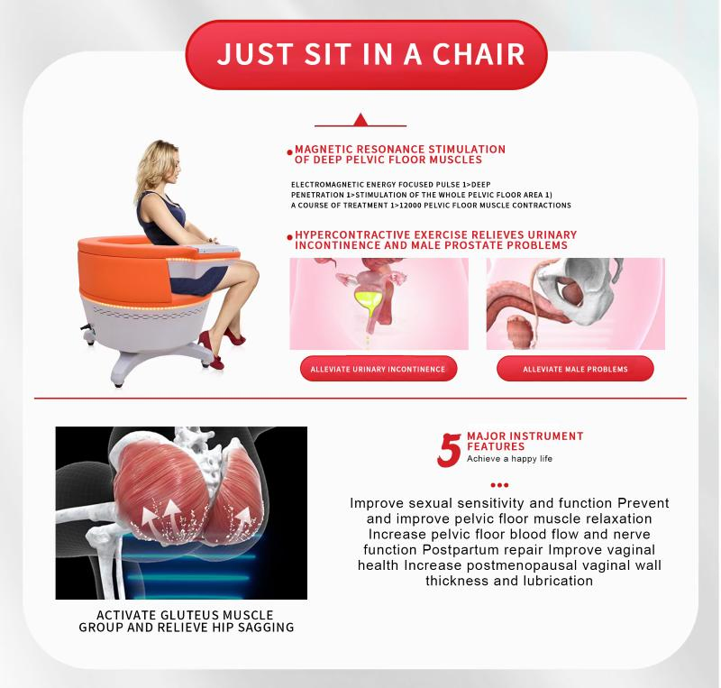 Professional EMS Pelvic Floor Muscle Recovery Chair for Postpartum Treatment and Urinary Incontinence
