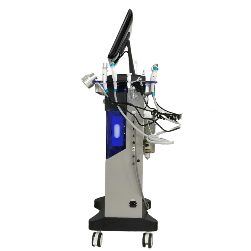 Customizable 14 in 1 Hydro Dermabrasion Skin Care Equipment with 2 Years Warranty